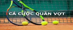 Tìm Hiểu Cá Cược Quần Vợt VIN777: Bí Kíp Cho Dân Cược Đỉnh Cao
